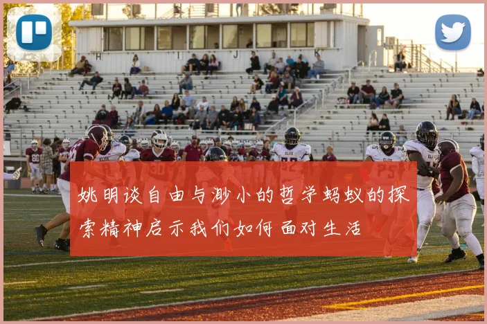 姚明谈自由与渺小的哲学蚂蚁的探索精神启示我们如何面对生活