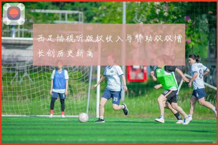 西足协视听版权收入与赞助双双增长创历史新高