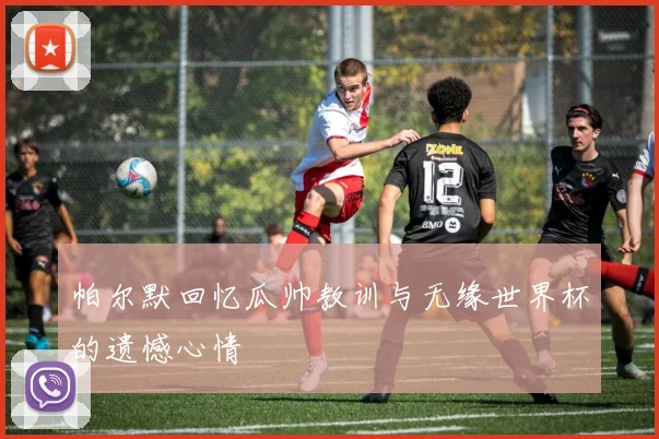 帕尔默回忆瓜帅教训与无缘世界杯的遗憾心情